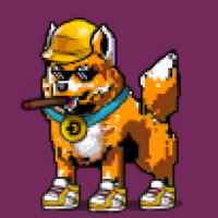 DogePunks #3842