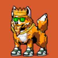 DogePunks #2555