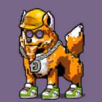 DogePunks #3229