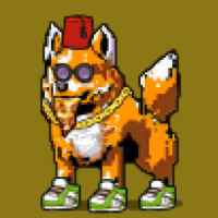 DogePunks #1584