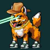 DogePunks #2005
