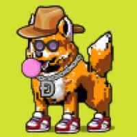 DogePunks #4289