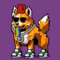 DogePunks #4902