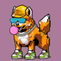 DogePunks #1620