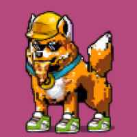 DogePunks #165