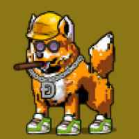 DogePunks #1457