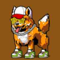 DogePunks #2439