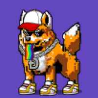 DogePunks #4889