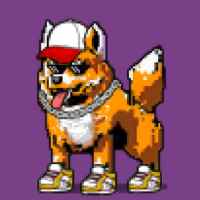 DogePunks #639