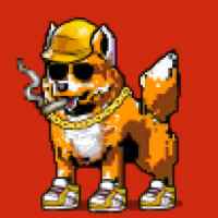 DogePunks #2653
