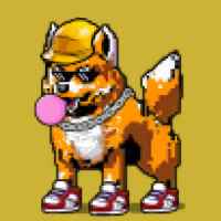 DogePunks #3701