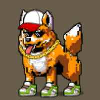 DogePunks #2333