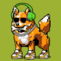DogePunks #2992