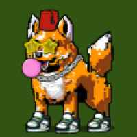 DogePunks #2206