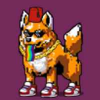 DogePunks #2407