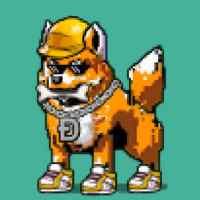 DogePunks #4011