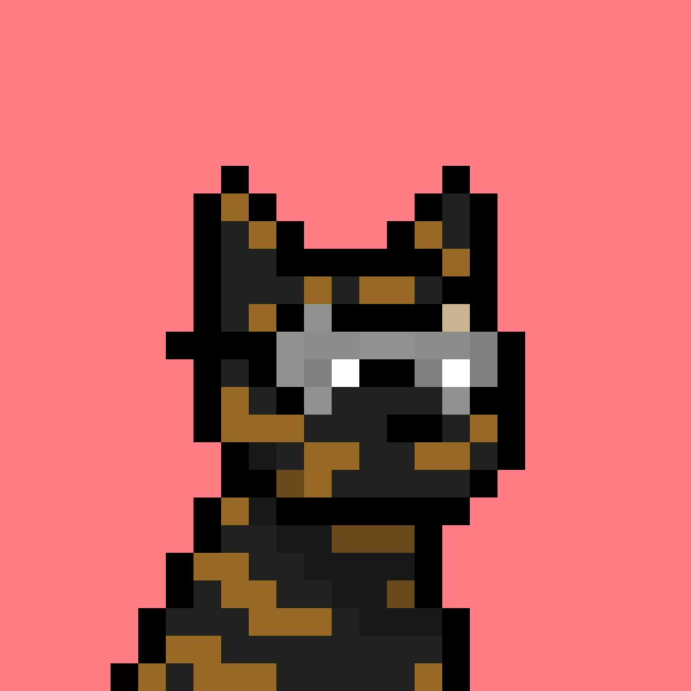 Doginal Dog #6373
