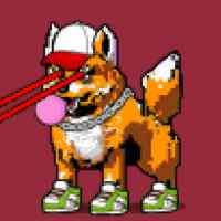 DogePunks #1143