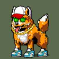 DogePunks #2220