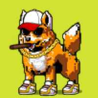 DogePunks #3535