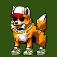 DogePunks #828
