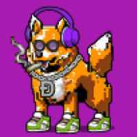 DogePunks #1429