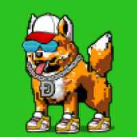 DogePunks #449