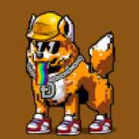 DogePunks #647