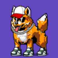 DogePunks #795