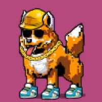 DogePunks #4874
