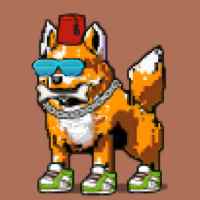DogePunks #3951