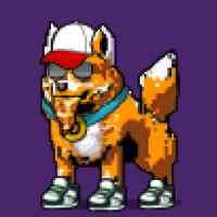 DogePunks #1956