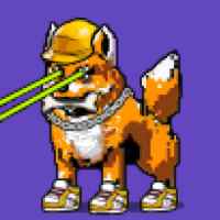 DogePunks #1282