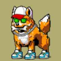 DogePunks #2873