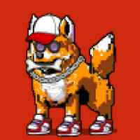 DogePunks #3423