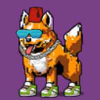 DogePunks #3672