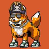 DogePunks #1117