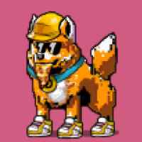 DogePunks #822