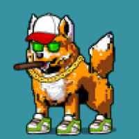 DogePunks #1336