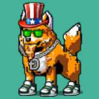DogePunks #804