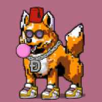 DogePunks #1991