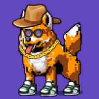 DogePunks #3173