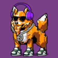 DogePunks #1888