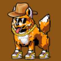 DogePunks #2582