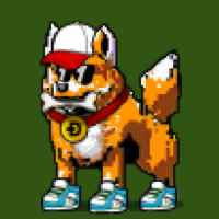DogePunks #1675