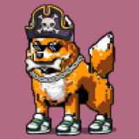 DogePunks #4738