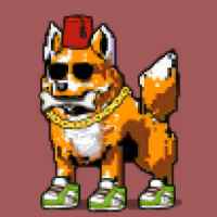 DogePunks #4821