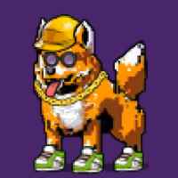 DogePunks #2038