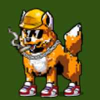 DogePunks #1363