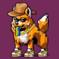 DogePunks #662